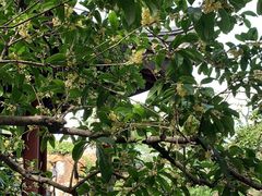 -红小满休闲餐厅(十全街店)