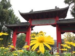 -四川大学(望江校区)