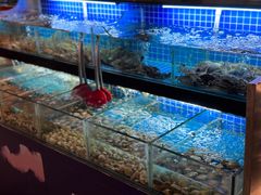 -佰园全日西餐厅-厦门佰翔软件园酒店