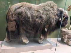 -国家自然博物馆