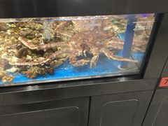 -盒马鲜生(岭南新世界店)
