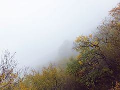 -阳台山自然风景区