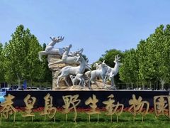 -秦皇岛野生动物园