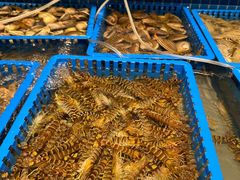 -一方渔歌蒸汽海鲜自助(文化路万达广场店)