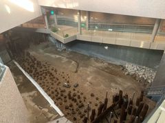 -元代水闸遗址博物馆