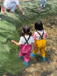 -268童话露营农场·烧烤·团建