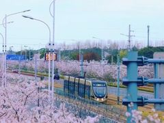 -百年尹氏汤包(湖南路狮子桥店)