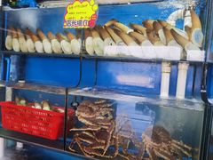 -蚝专家(北滘店)