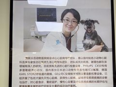 -美联众合动物医院·24h转诊中心