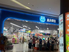 -盒马鲜生(岭南新世界店)