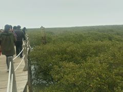 android_upload_pic-北海金海湾红树林生态旅游区