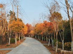 -上海海湾国家森林公园