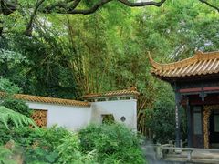 -广州兰圃