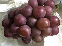 -美家乐农庄·露营·团建(大治路店)