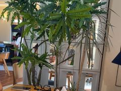 -俏贝拉(裕后街店)