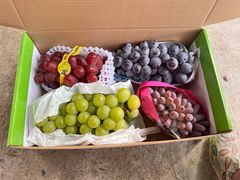 -马陆小张葡萄园农家乐