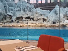 -帝企鹅自助餐厅•儿童岛•真企鹅(长隆企鹅酒店)