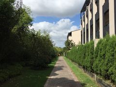 -上海崇明金茂凯悦酒店