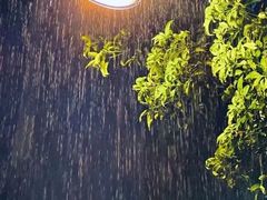-苏州东太湖生态园