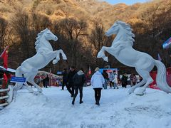 -陕西省红河谷森林公园