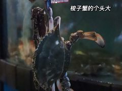 -渔满仓海鲜渔家(象山二店)