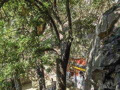 -鹫峰国家森林公园