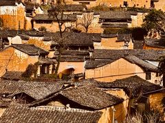 -杨家堂村