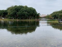 -映月湖公园