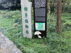 -洛阳市隋唐城遗址植物园