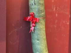 -烹湘·鲜炒湖南土菜(海珠店)