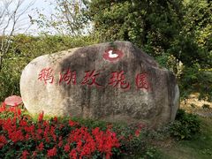 -鹅湖玫瑰文化园
