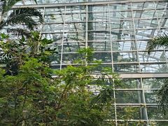 -南山植物园
