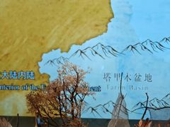 -中国湿地博物馆