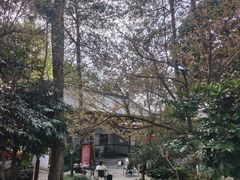 -唐风温泉