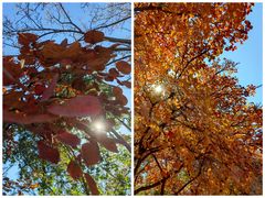 -北京西山国家森林公园