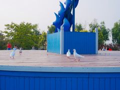 景点-鸽子窝公园