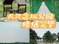 -大兴滨河森林公园