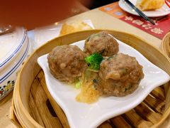 陈皮蒸牛肉球-点都德(千灯湖环宇城店)