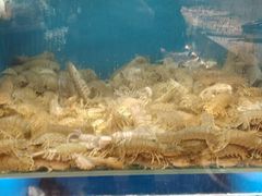 -赶海部落海鲜城(海阳路店)