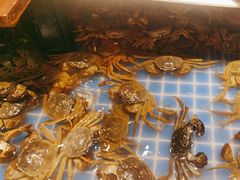 -亚马逊海鲜自助(梅溪湖步步高店)