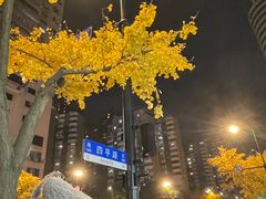-玛格萝妮比萨屋(四平店)