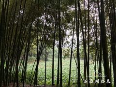 -石燕湖生态旅游景区
