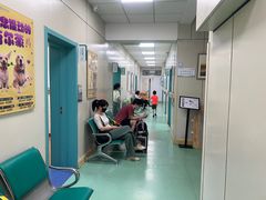 -北京观赏动物医院·24小时大型综合·猫专科·异宠专科