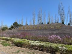 -永定河休闲森林公园