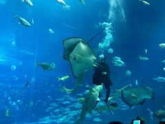 -广东省拱北口岸中国旅行社(华宾营业部)