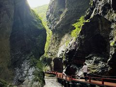 -牛背梁国家森林公园