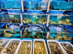 水产区-桔子海鲜烧烤大排档(金沙滩店)