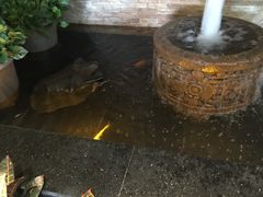 -杭州东站汇和君亭酒店