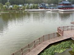 -雁滩公园
