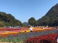 -广州市石门国家森林公园
